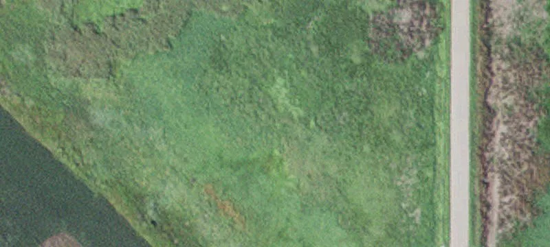 Comfrey, MN 56019