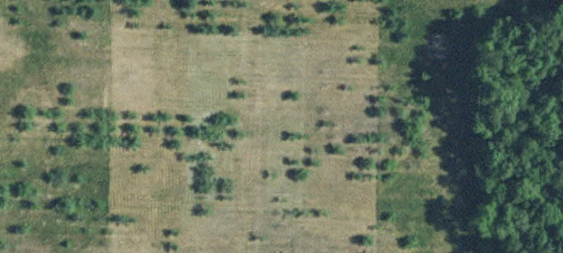 15455 Old Ml Rd