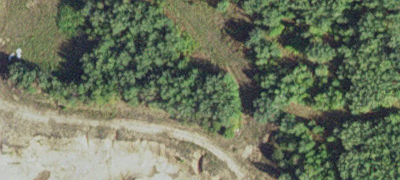 Littlefork, MN 56653