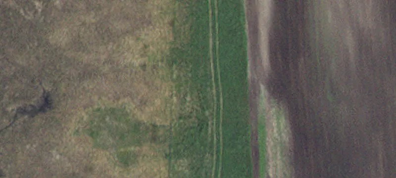 Newfolden, MN 56738