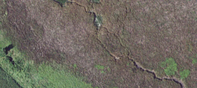 Comfrey, MN 56019