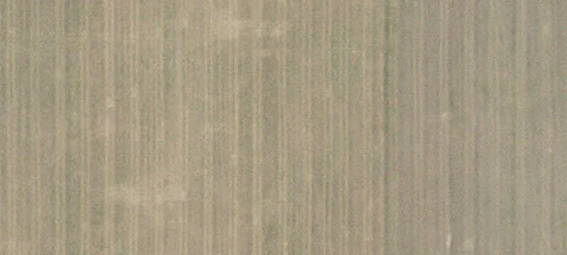 Ogilvie, MN 56358