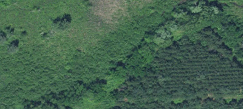 2085 Hwy 47