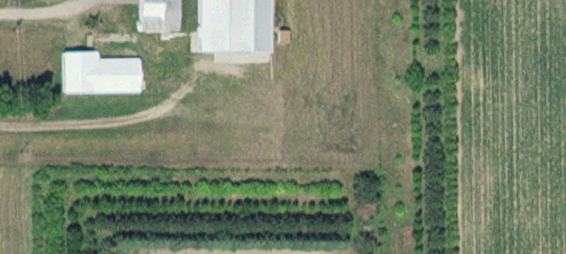 Bertha, MN 56437