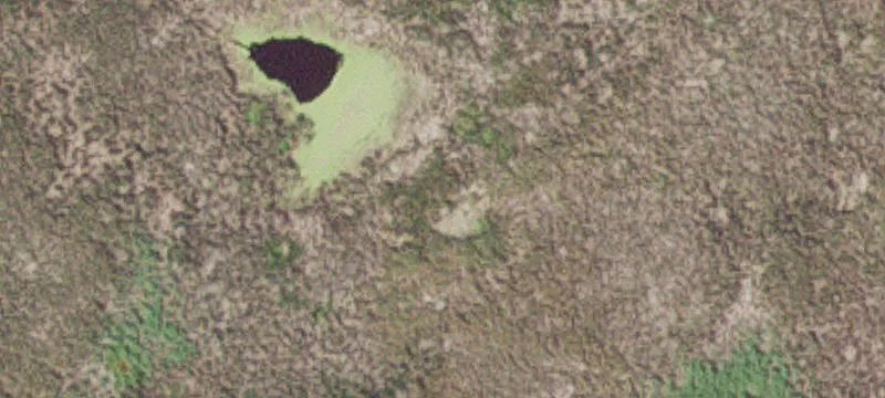 Comfrey, MN 56019