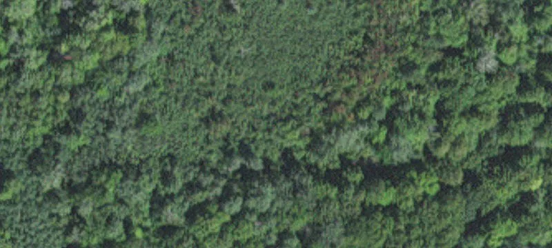 Tamarack, MN 55787