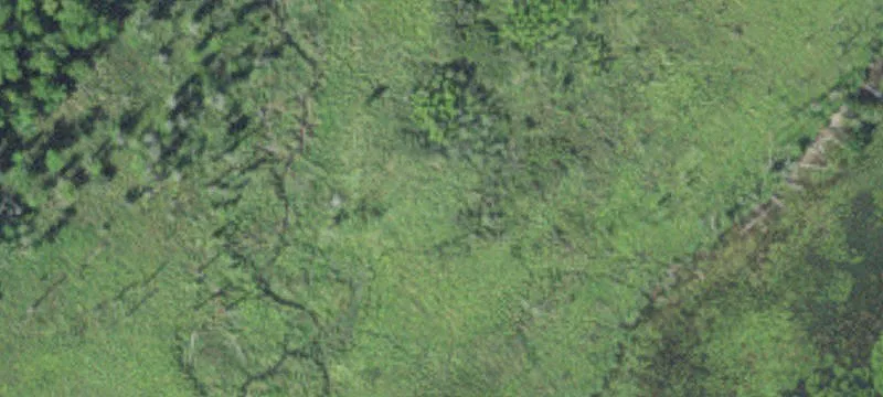 Bigfork, MN 56628