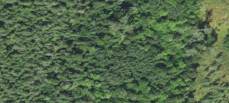 Grand Rapids, MN 55744
