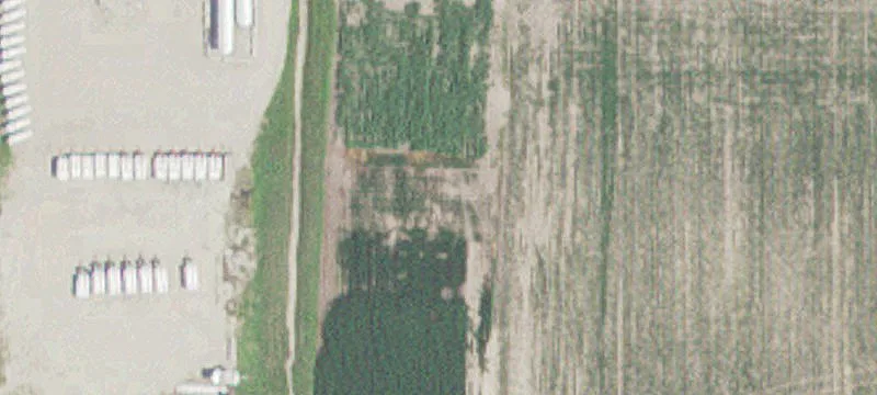 Kiester, MN 56051