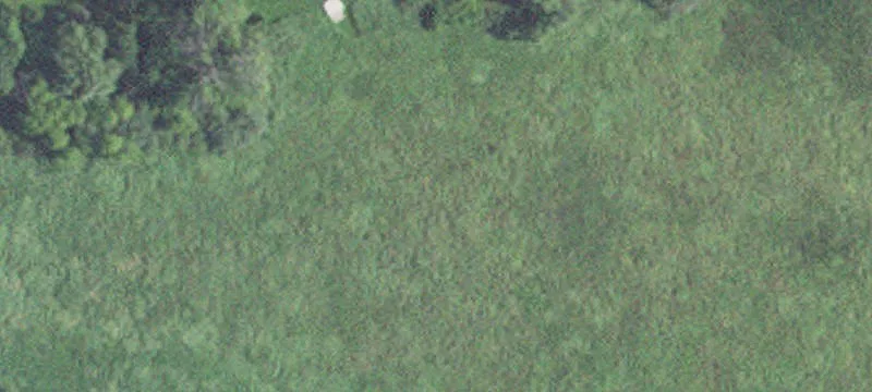 23236 State Hwy 13