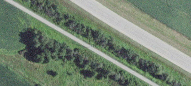 Hwy 56