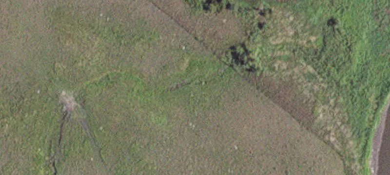 Windom, MN 56101