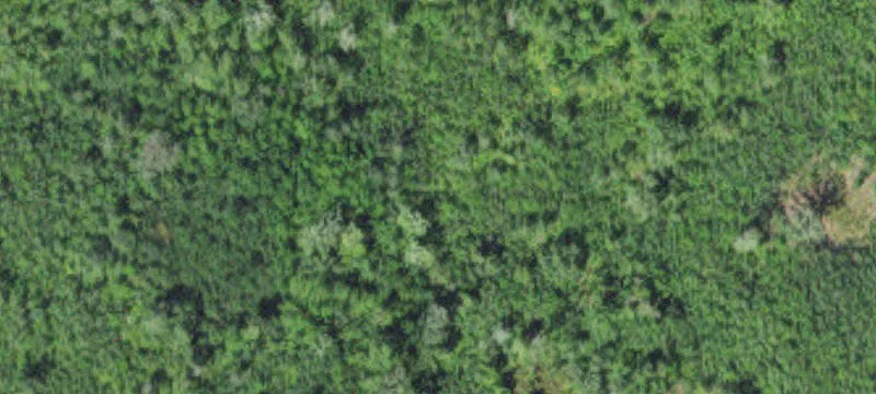 Bovey, MN 55709