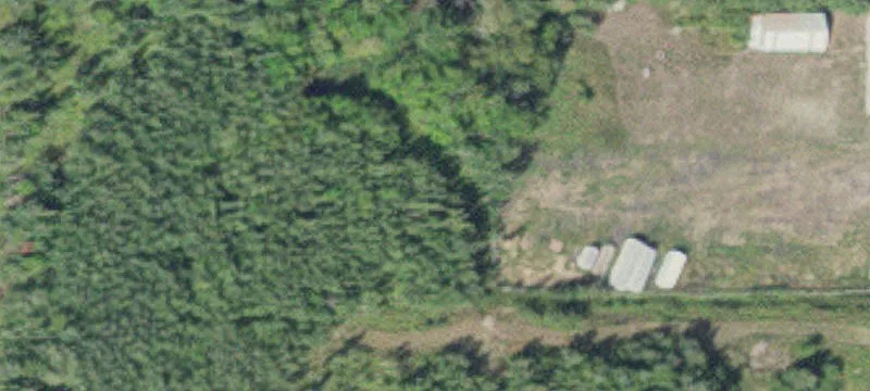 International Falls, MN 56649