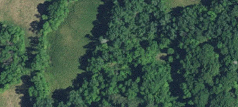 Long Prairie, MN 56347