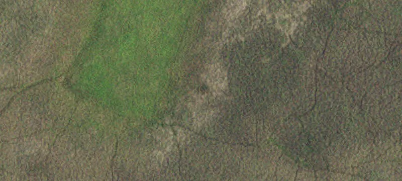 Ogema, MN 56569