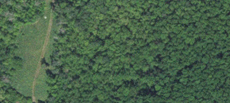 International Falls, MN 56649