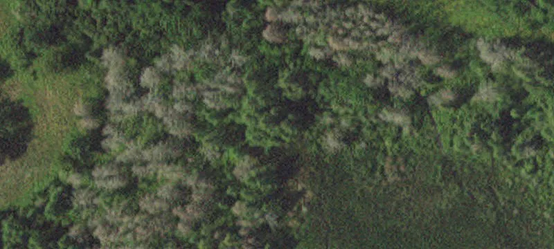 Nevis, MN 56467