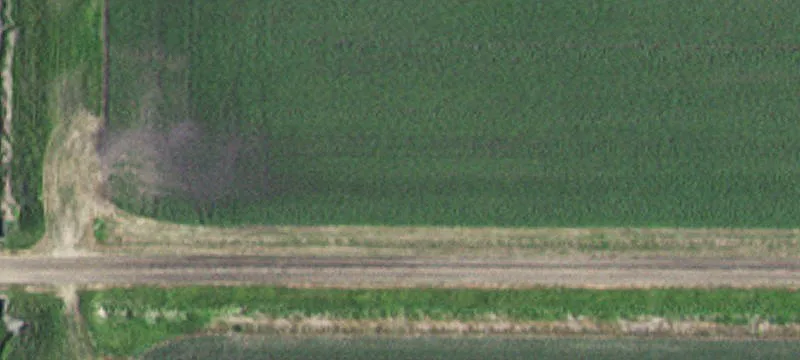 Elbow Lake, MN 56531