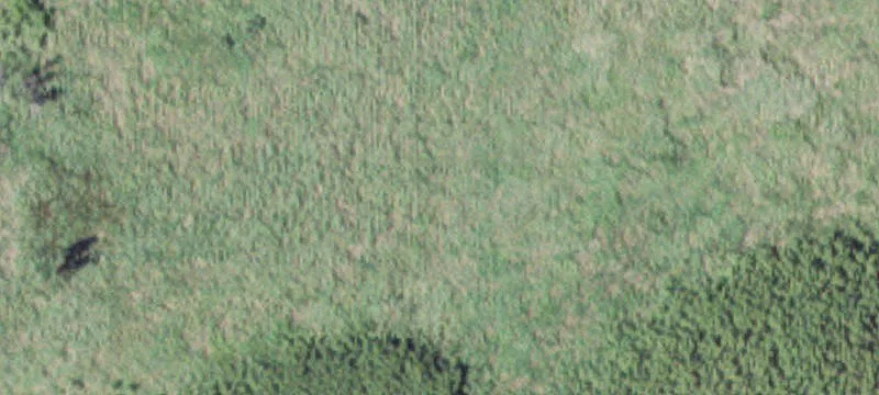 Comfrey, MN 56019