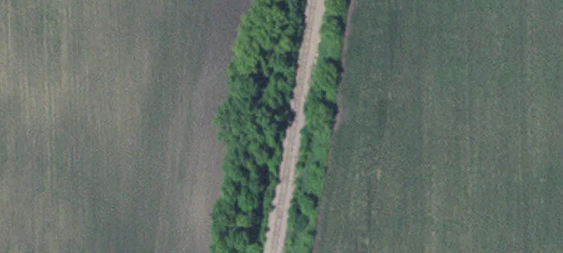 Lanesburgh Township