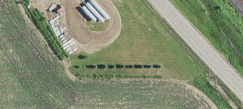 Hoffman, MN 56339