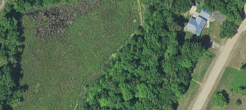 Browerville, MN 56438