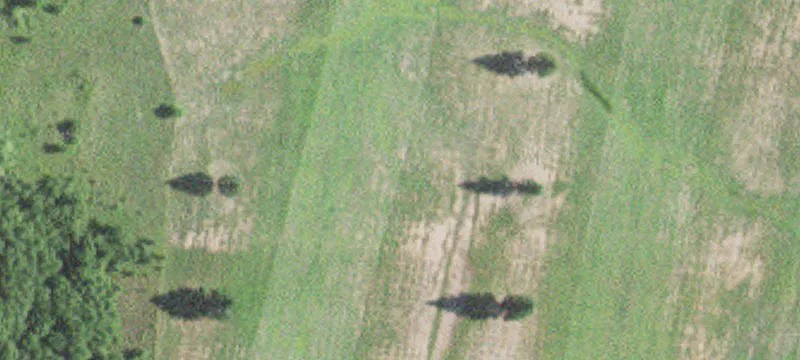 Bigfork, MN 56628