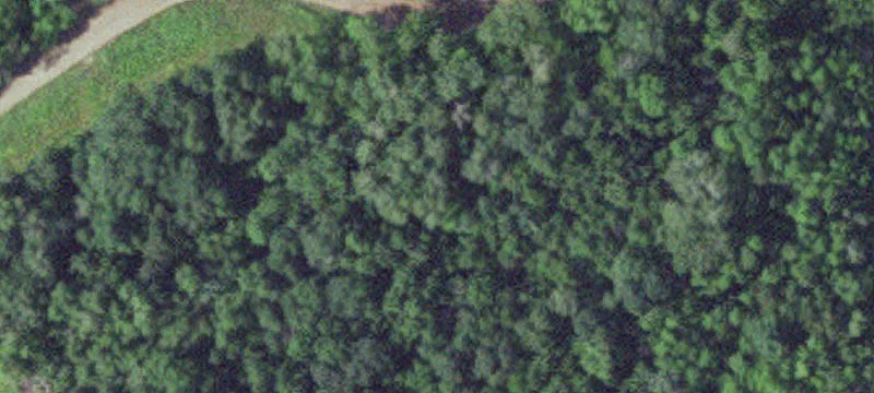 Aitkin, MN 56431