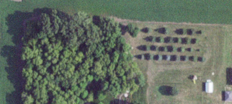 Marietta, MN 56257