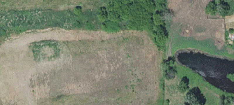 625 Pheasant Run