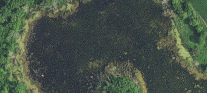 Ogema, MN 56569