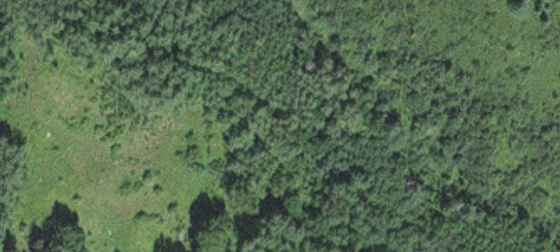 Tamarack, MN 55787