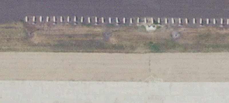 Argyle, MN 56713
