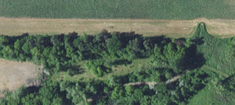 121 Bluebird Ln