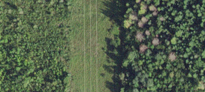 Littlefork, MN 56653