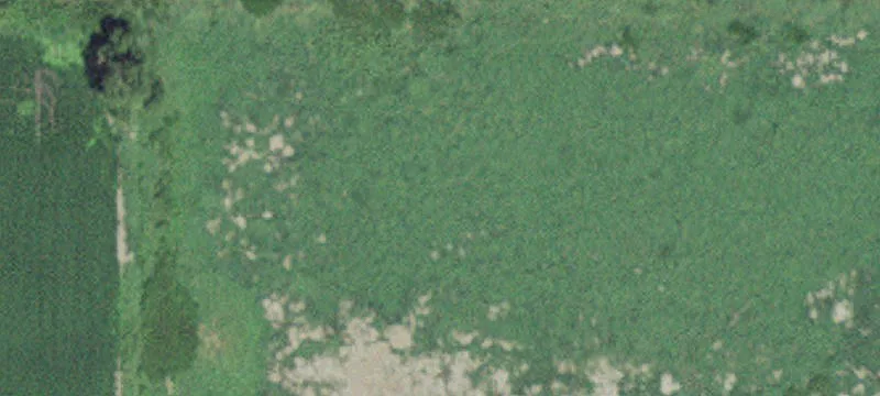 Glenville, MN 56036