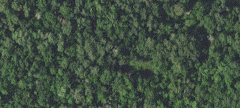 13618 County 40