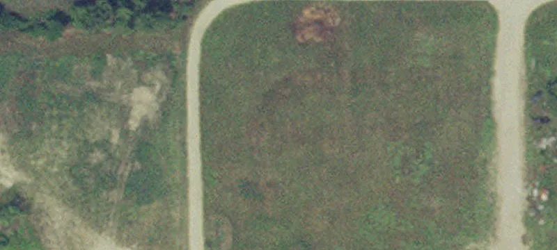 Tintah, MN 56583