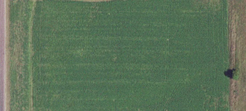 Windom, MN 56101