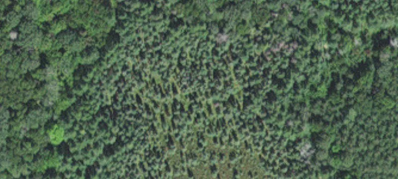 Tamarack, MN 55787