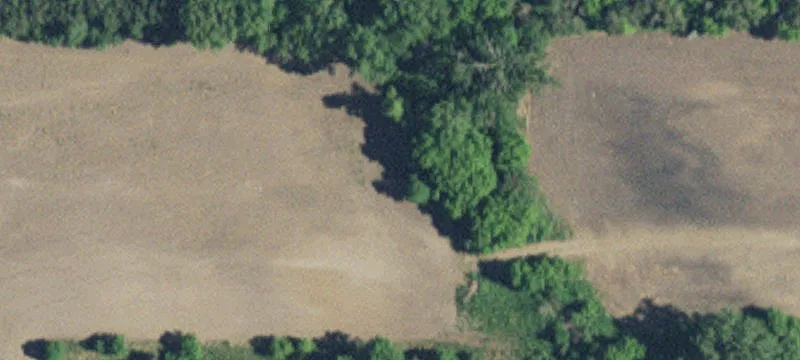 Long Prairie, MN 56347