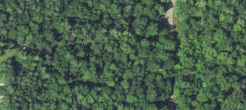 42912 240th Ln