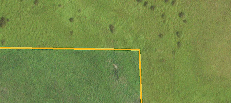 Ogema, MN 56569