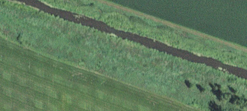 Hollandale, MN 56045
