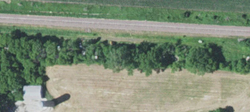 Stewart, MN 55385