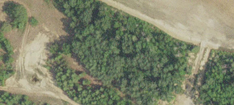 Williams, MN 56686