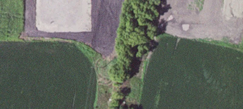 Trimont, MN 56176