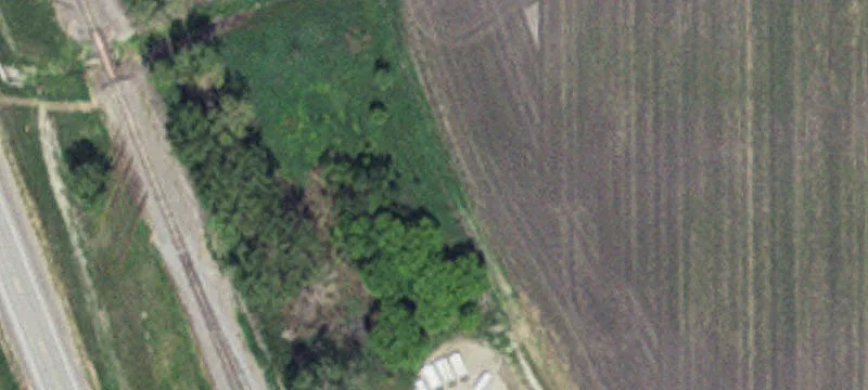 Euclid, MN 56722