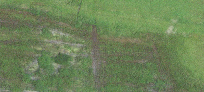 31002 Cedar Rd
